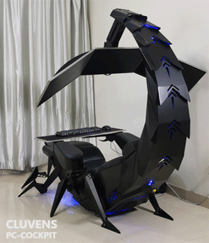 1_large.gif