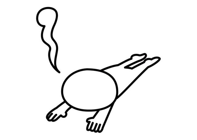 880027.jpg