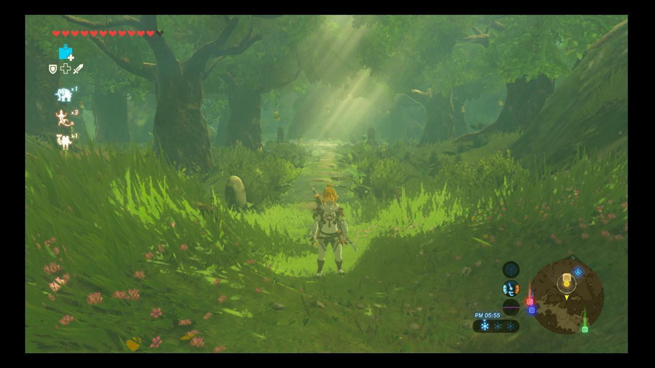 ゼルダの伝説 ブレスオブザワイルド コログの森の雑草処理してみた Before After画像あり 爆newゲーム速報