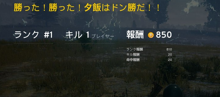 Pubg Mobile レベル10まではbotなのにドン勝自慢気にスクショしてる奴ｗｗｗ 爆newゲーム速報