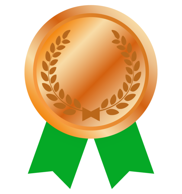 medal_ribbon_bronze_illust_530.png