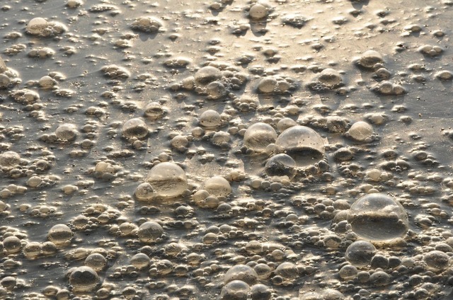 pollution-722455_960_720.jpg